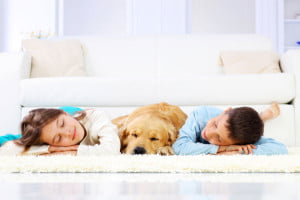 Kids and Dogs