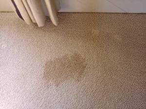 Wicking (reoccurring) Carpet Stains
