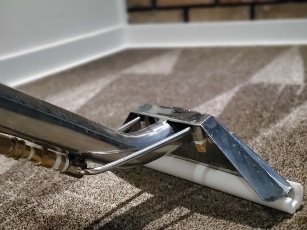 Some Essential Things About Carpet Cleaning
