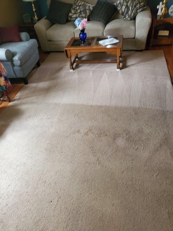 What Is Organic Carpet Cleaning