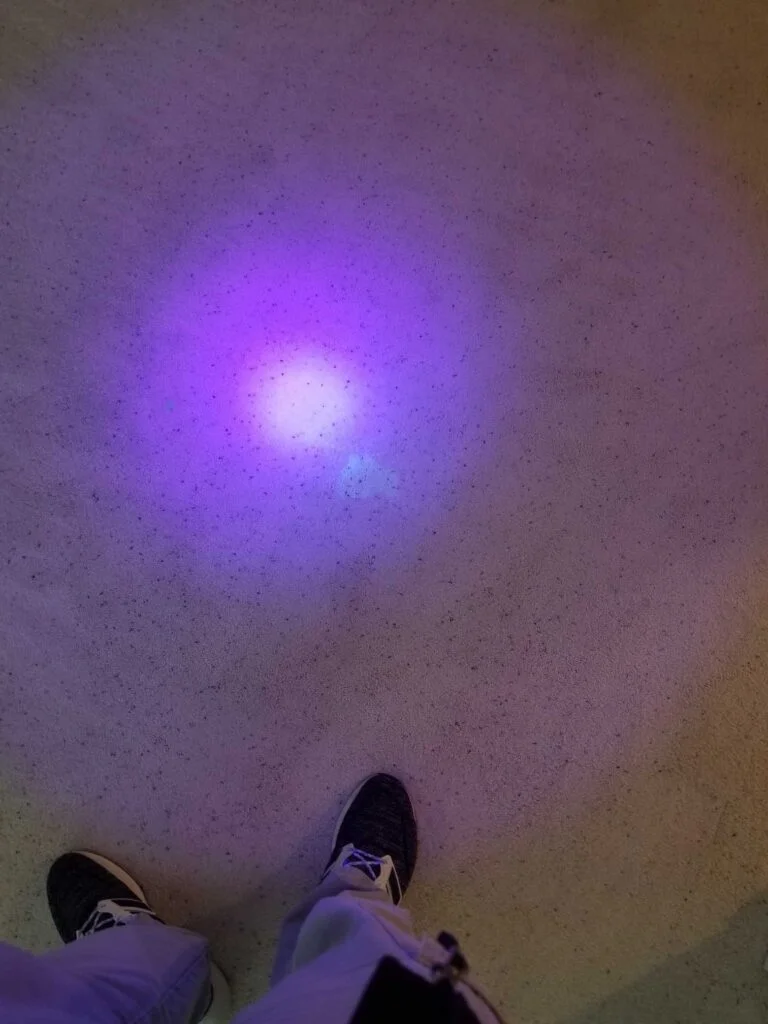 UV Wicking Urine Stain