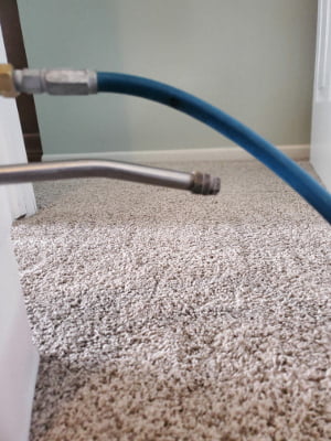 Healthy Carpets Pre-Spray Carpets