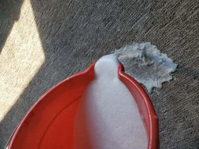 Foam Enzyme To Remove Urine From Carpet Padding