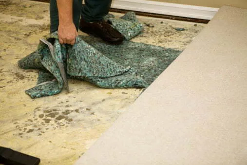 How To Dry Wet Carpet?