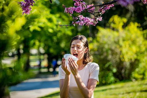 Allergies in carpets