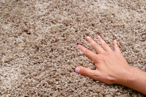 What carpets are in style 2022