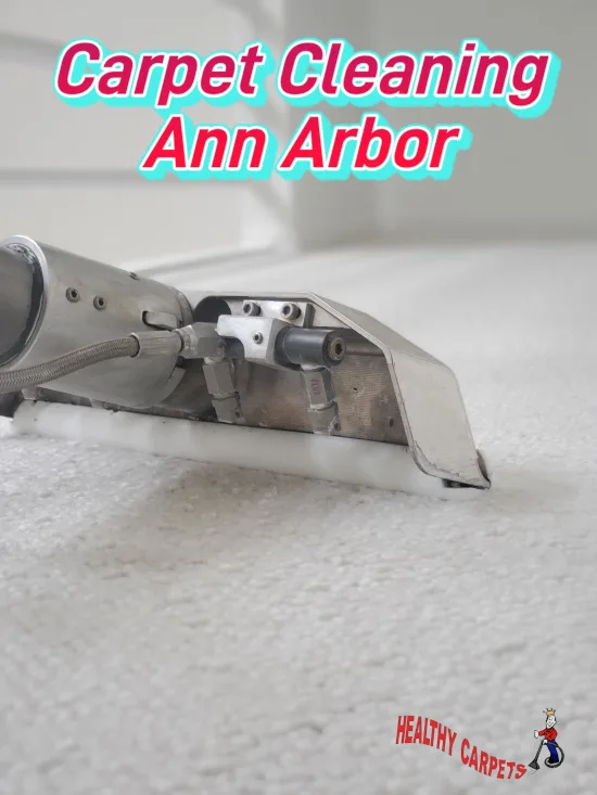 Carpet Cleaning Ann Arbor | Healthy Carpets7342248206
