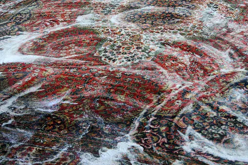 Area Rug Cleaning Ann Arbor