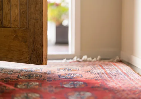 Deep Area Rug Cleaning