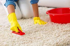 Removal of pet stains from carpets