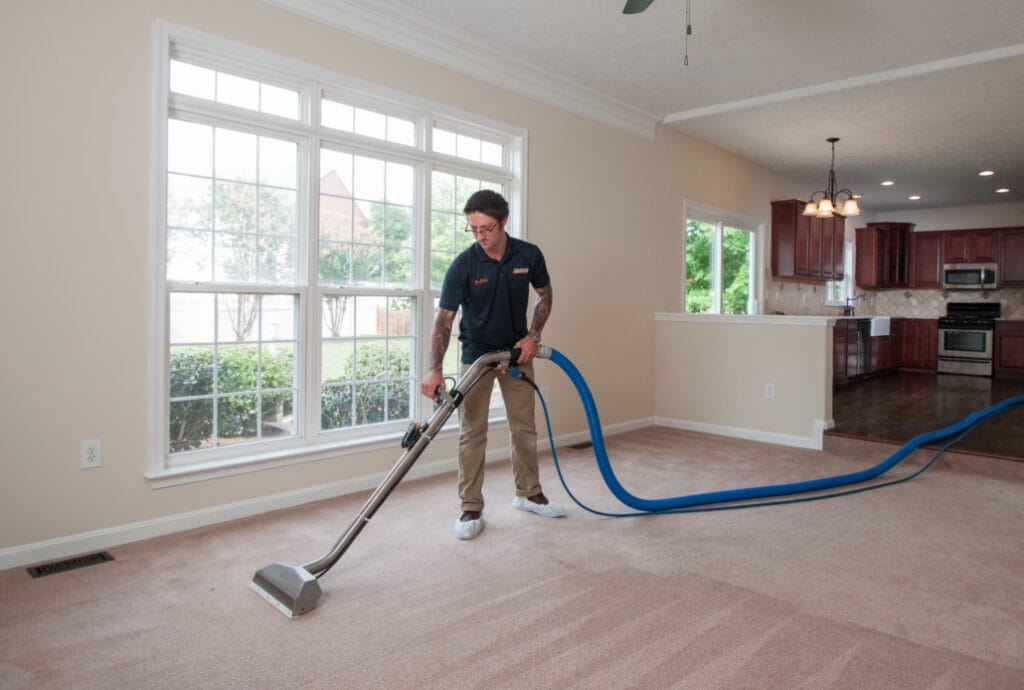 professional carpet cleaning time of the year