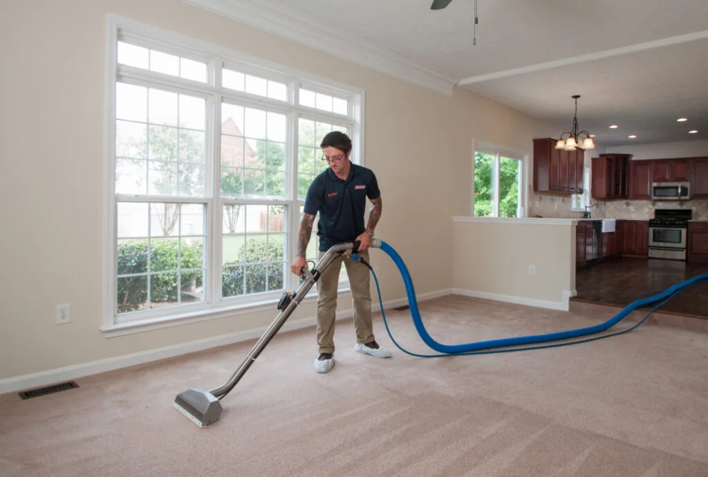 professional carpet cleaning time of the year