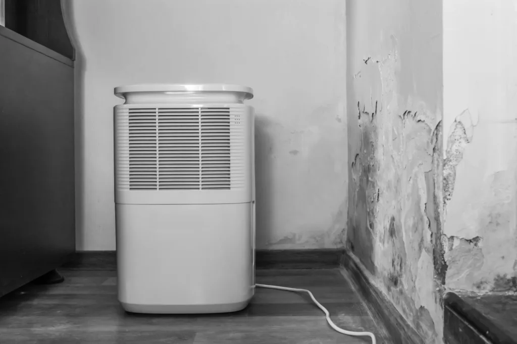 Do i need a dehumidifier in my basement