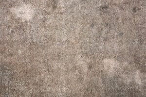 old stained carpet that need replaced or cleaned
