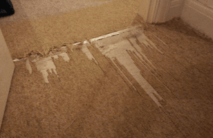 old ripped carpet
