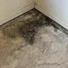 does carpet cleaning cause mold?