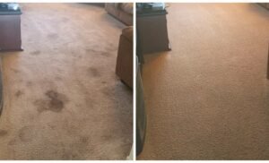 Before and after carpet cleaning photo