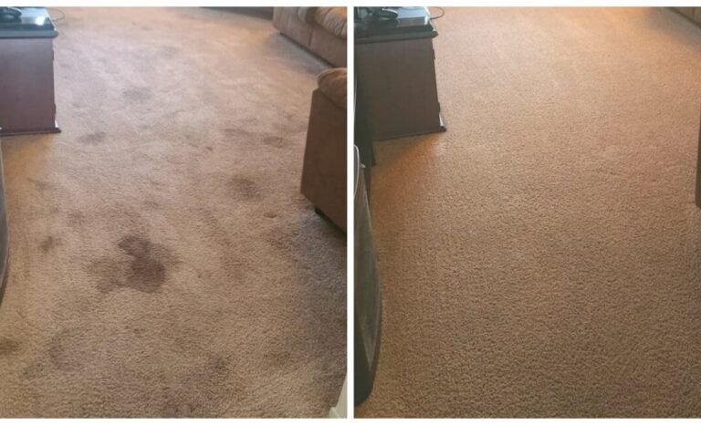 Before and after carpet cleaning photo