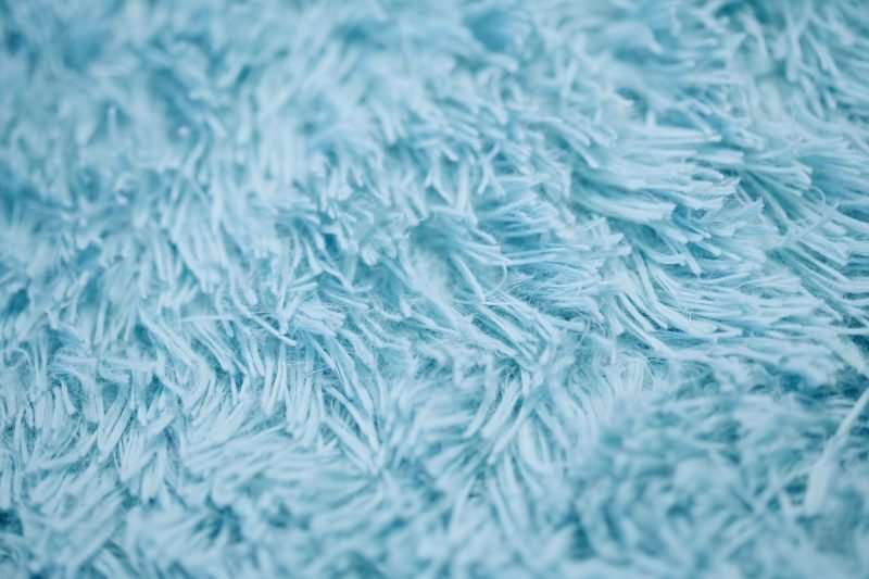 Wool carpet fiber